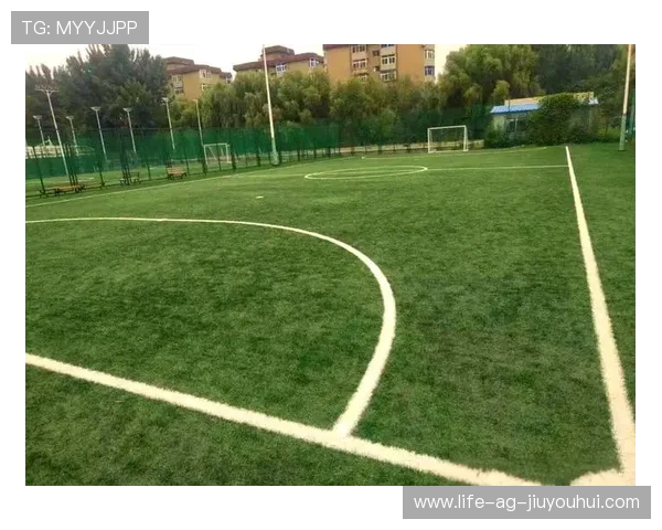 家庭专用室外足球场设计与建设全攻略 打造属于你的私人运动天地 家庭专用室外足球场设计与建设全攻略 打造属于你的私人运动天地